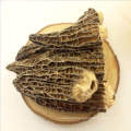 Factory Price Dried Black Morel Mushroom Price Dried Morel Mushroom Price